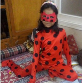 Buy IKALI Ladybug Costume Ballerina Beetle Wings Fancy Dress up Outfit  Ladybird Suit at Ubuy Pakistan