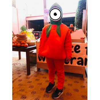 Orange Fruit Costume For Kids